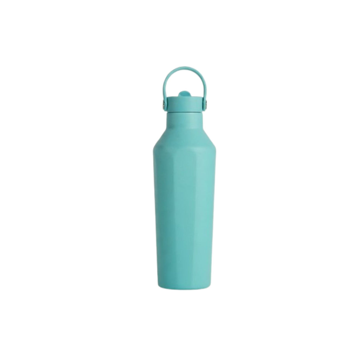 25oz (750ml) Insulated Water Bottle – 304 Stainless Steel, Leakproof, Cup Holder Friendly